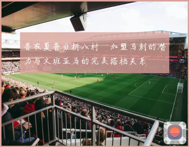 香农夏普分析八村塁加盟马刺的潜力与文班亚马的完美搭档关系
